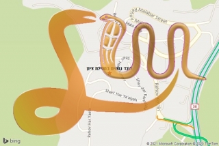 לכידת נחש במסילת ציון - לוכד נחשים במסילת ציון