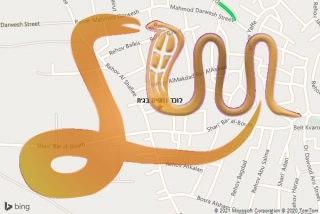 לכידת נחש בג׳ת - לוכד נחשים בג׳ת