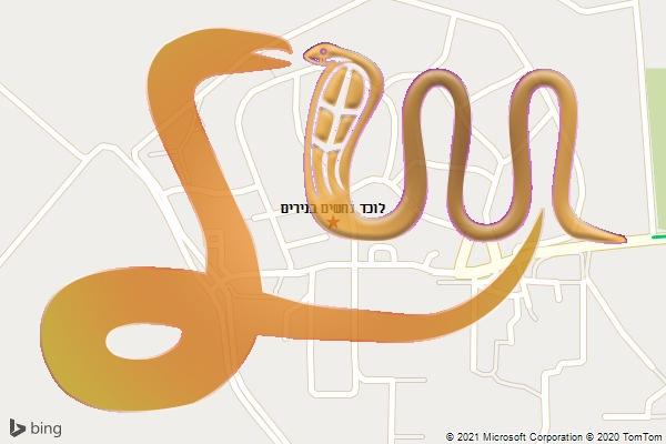 לוכד נחשים בנירים