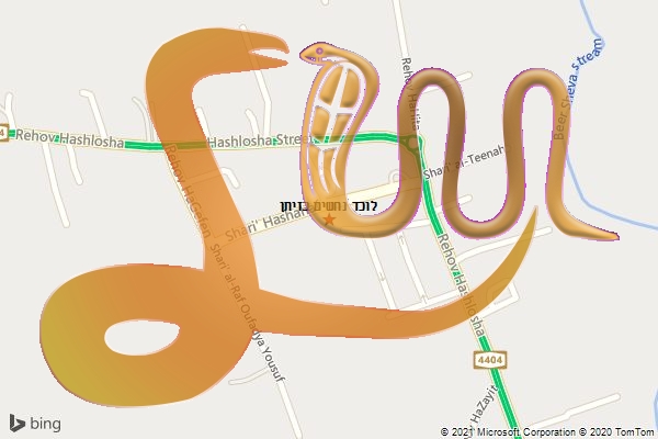 לוכד נחשים בזיתן