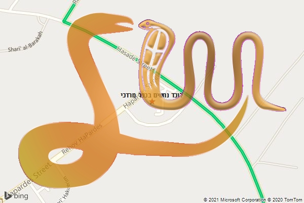לוכד נחשים בכפר מרדכי
