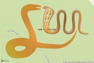 לכידת נחש בהר מירון - לוכד נחשים בהר מירון