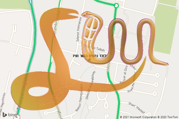 לוכד נחשים בגשר הזיו