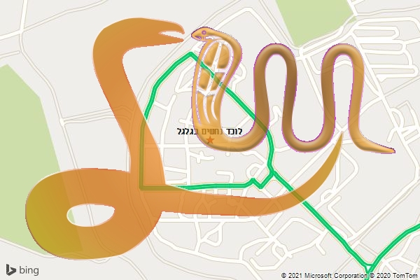 לוכד נחשים בגלגל