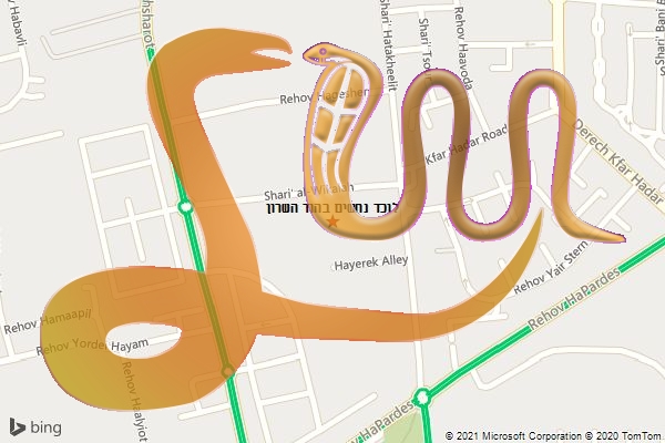 לוכד נחשים בהוד השרון