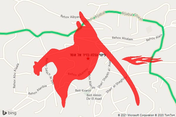 פינוי נבלה בדיר אל אסד