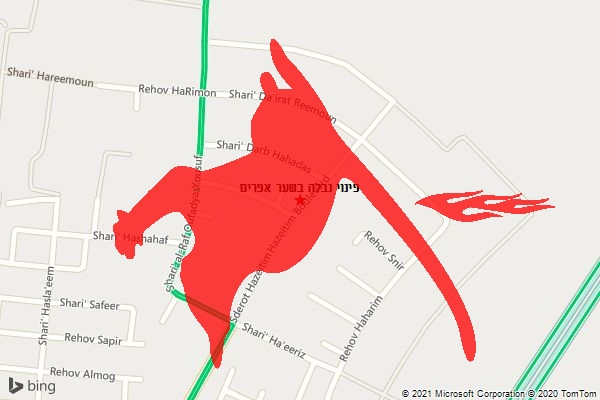 פינוי נבלה בשער אפרים