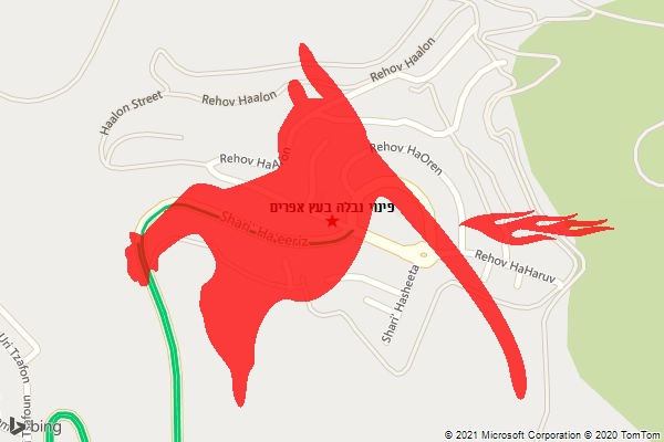 פינוי נבלה בעץ אפרים