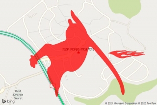 פינוי פגר בקיבוץ יפעת - פינוי נבלה בקיבוץ יפעת