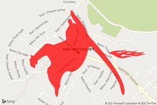 פינוי פגר בנווה דקלים - פינוי נבלה בנווה דקלים