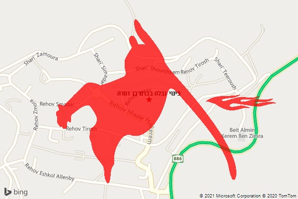 פינוי נבלה בכרם בן זמרה