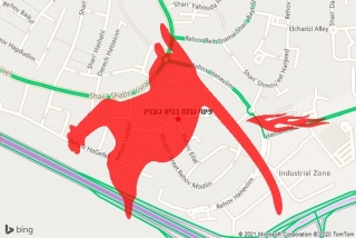 פינוי פגר בבית גוברין - פינוי נבלה בבית גוברין