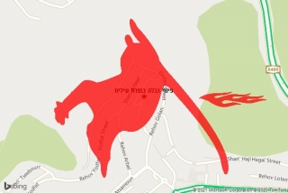 פינוי פגר בנצרת עילית - פינוי נבלה בנצרת עילית