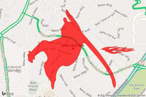 פינוי נבלה בנצרת