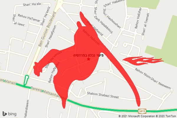 פינוי נבלה בפרדסיה