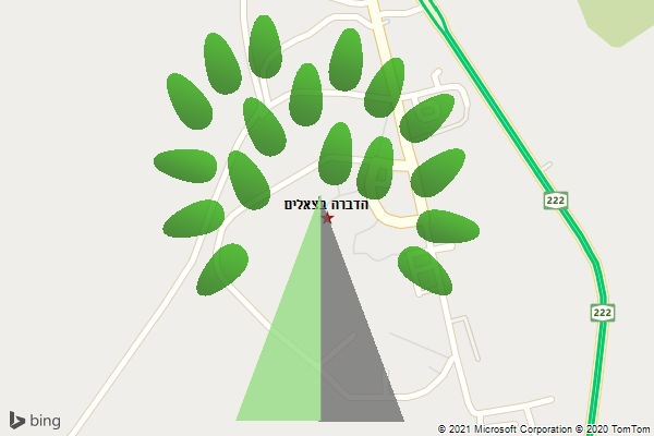 הדברה בצאלים