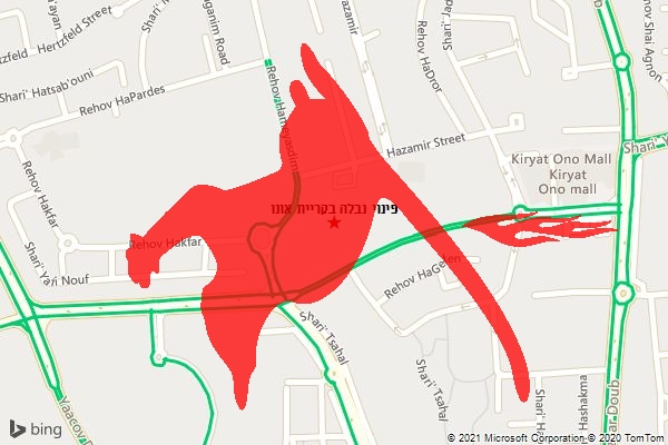פינוי נבלה בקריית אונו