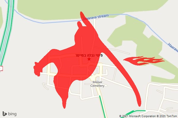 פינוי נבלה במייסר