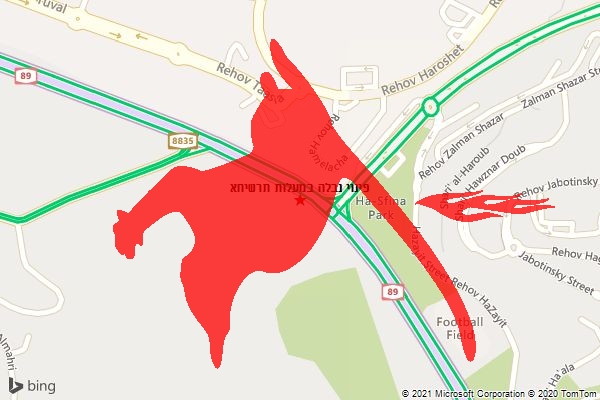 פינוי נבלה במעלות תרשיחא