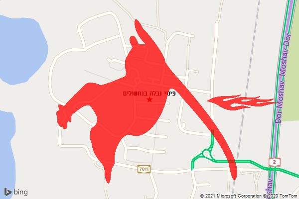 פינוי נבלה בנחשולים