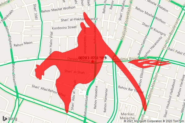פינוי נבלה בסלמה