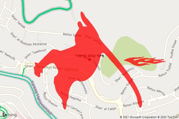 פינוי נבלה בציפורי