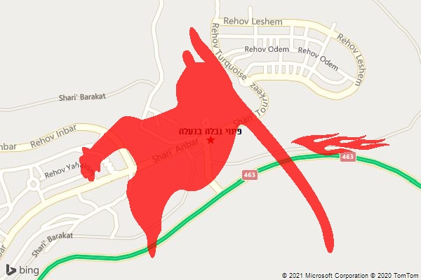 פינוי נבלה בנעלה