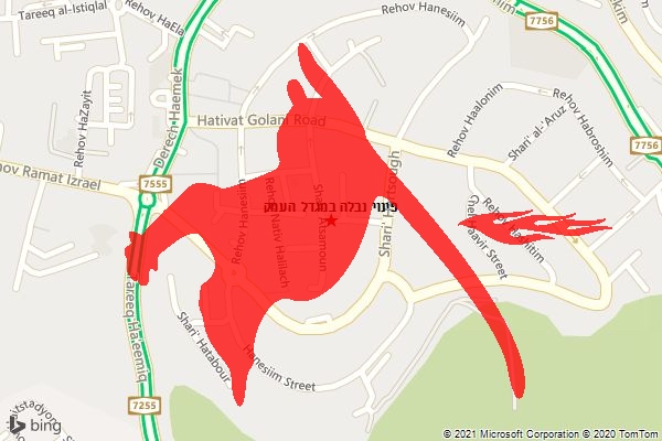 פינוי נבלה במגדל העמק