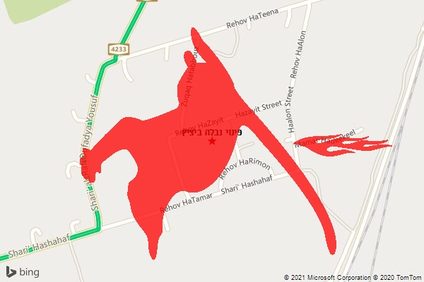פינוי נבלה ביציץ