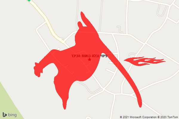 פינוי נבלה בנאות הכיכר