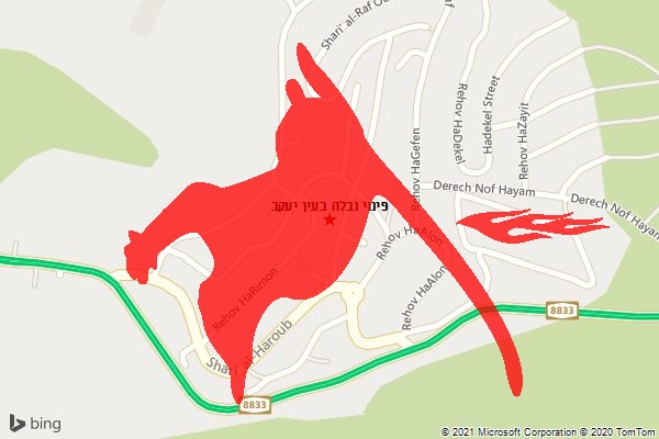 פינוי נבלה בעין יעקב