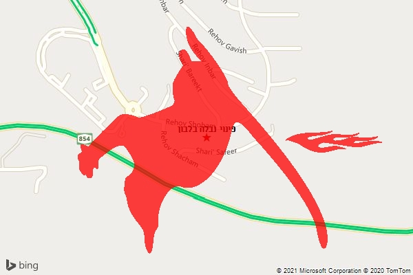 פינוי נבלה בלבון