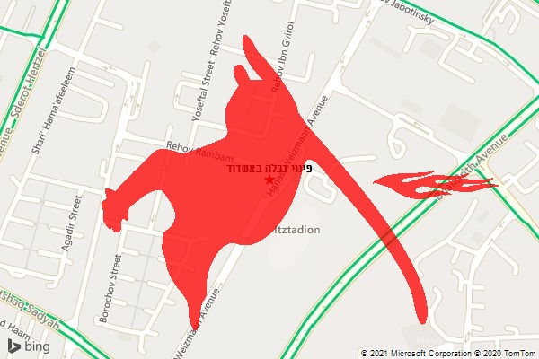 פינוי נבלה באשדוד