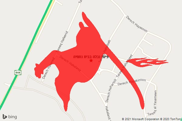 פינוי נבלה בבית נחמיה