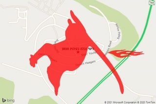 פינוי פגר בקיבוץ חנתון - פינוי נבלה בקיבוץ חנתון