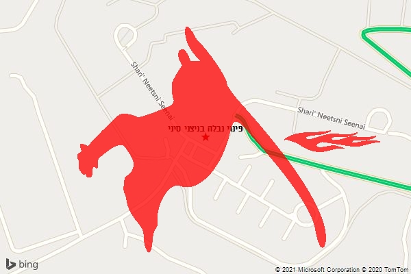 פינוי נבלה בניצני סיני