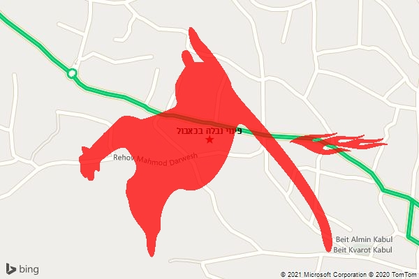 פינוי נבלה בכאבול