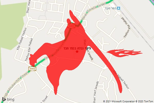 פינוי נבלה בכפר חבד