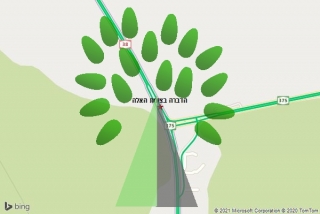 מדביר בצומת האלה - הדברה בצומת האלה