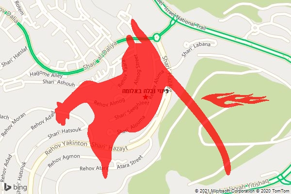 פינוי נבלה באלומה