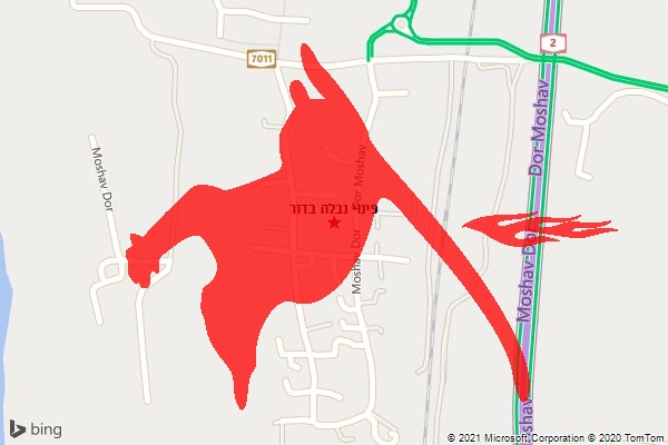 פינוי נבלה בדור