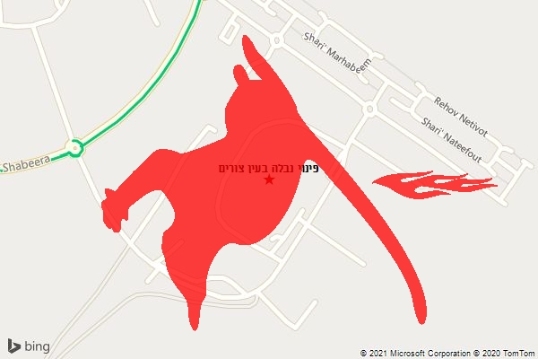 פינוי נבלה בעין צורים