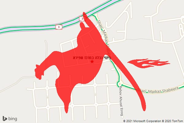 פינוי נבלה במרכז שפירא