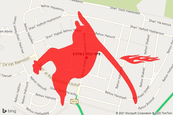 פינוי נבלה באליכין