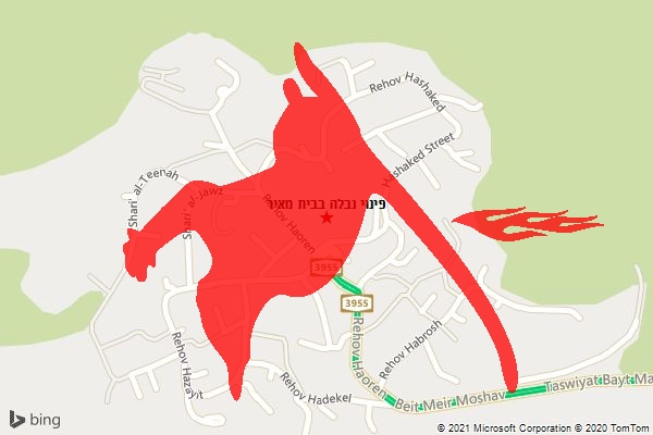 פינוי נבלה בבית מאיר