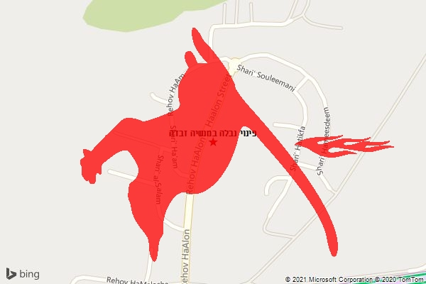 פינוי נבלה במנשיה זבדה