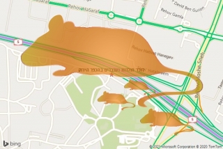 לוכד חולדה בהכפר הירוק - לוכד חולדות ועכברים בהכפר הירוק