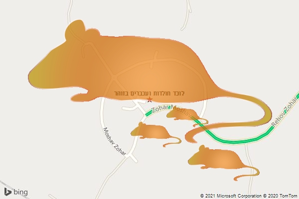 לוכד חולדות ועכברים בזוהר