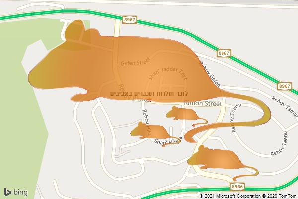 לוכד חולדות ועכברים באביבים