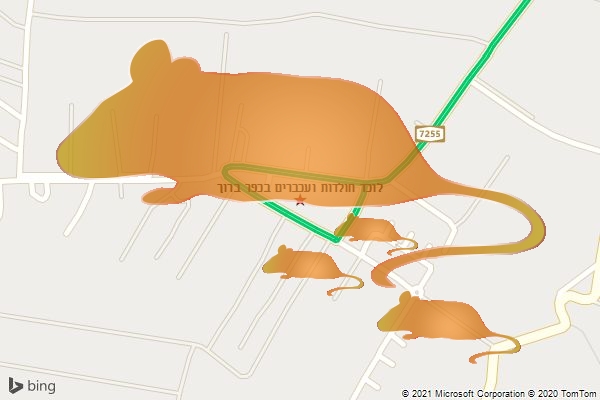 לוכד חולדות ועכברים בכפר ברוך